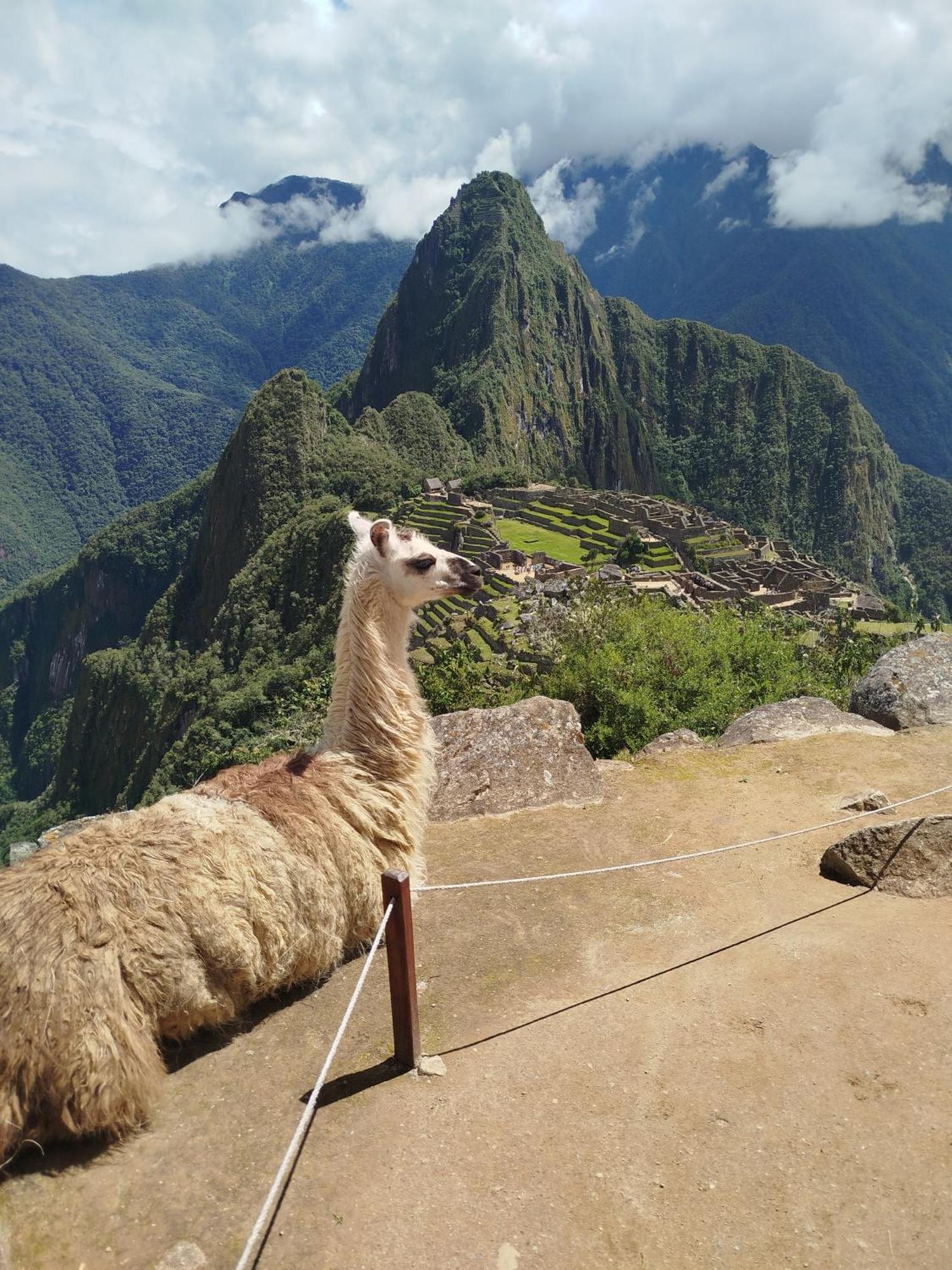 Picos House Machupicchu Hotel Bagian luar foto