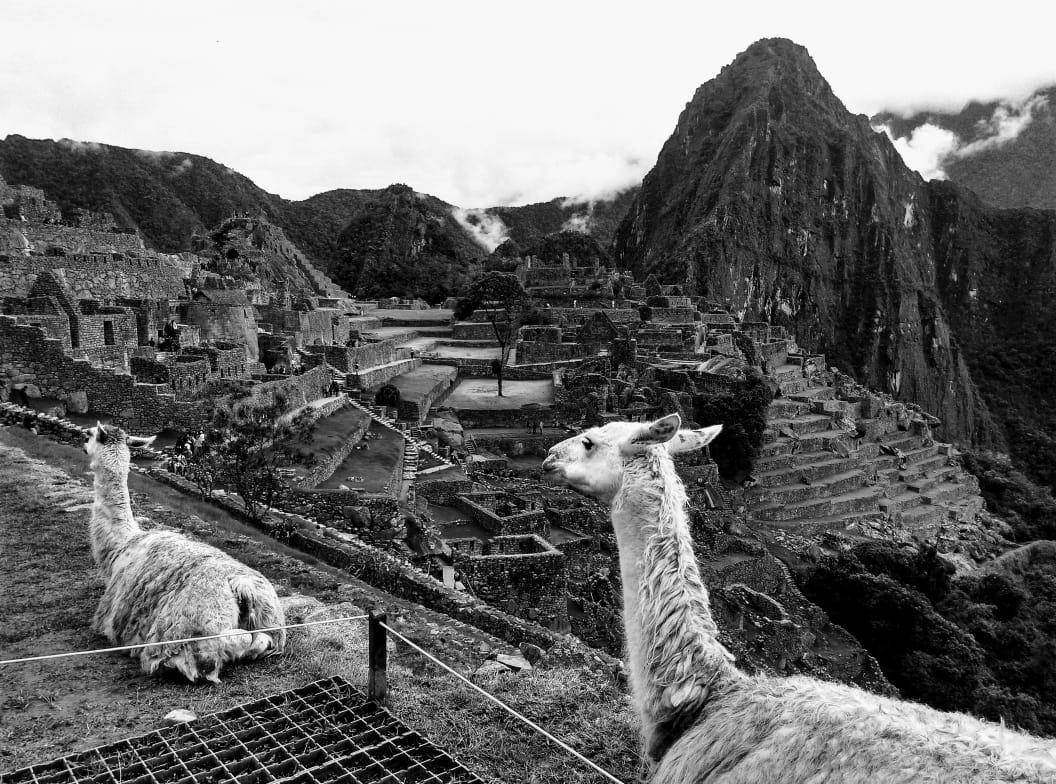 Picos House Machupicchu Hotel Bagian luar foto
